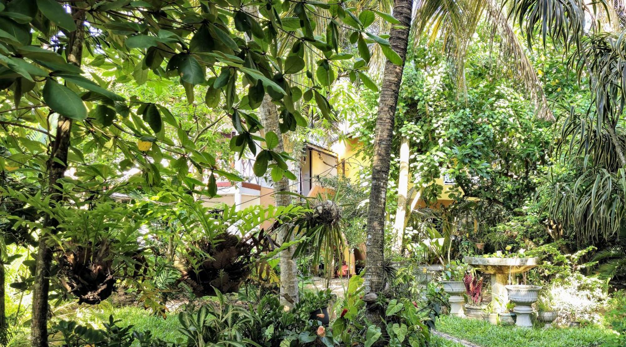 Seashore Mirissa Exterior foto